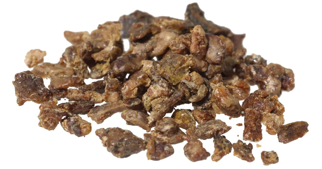 Co to jest kit? Poznaj rodzaje i zastosowania masy plastycznej